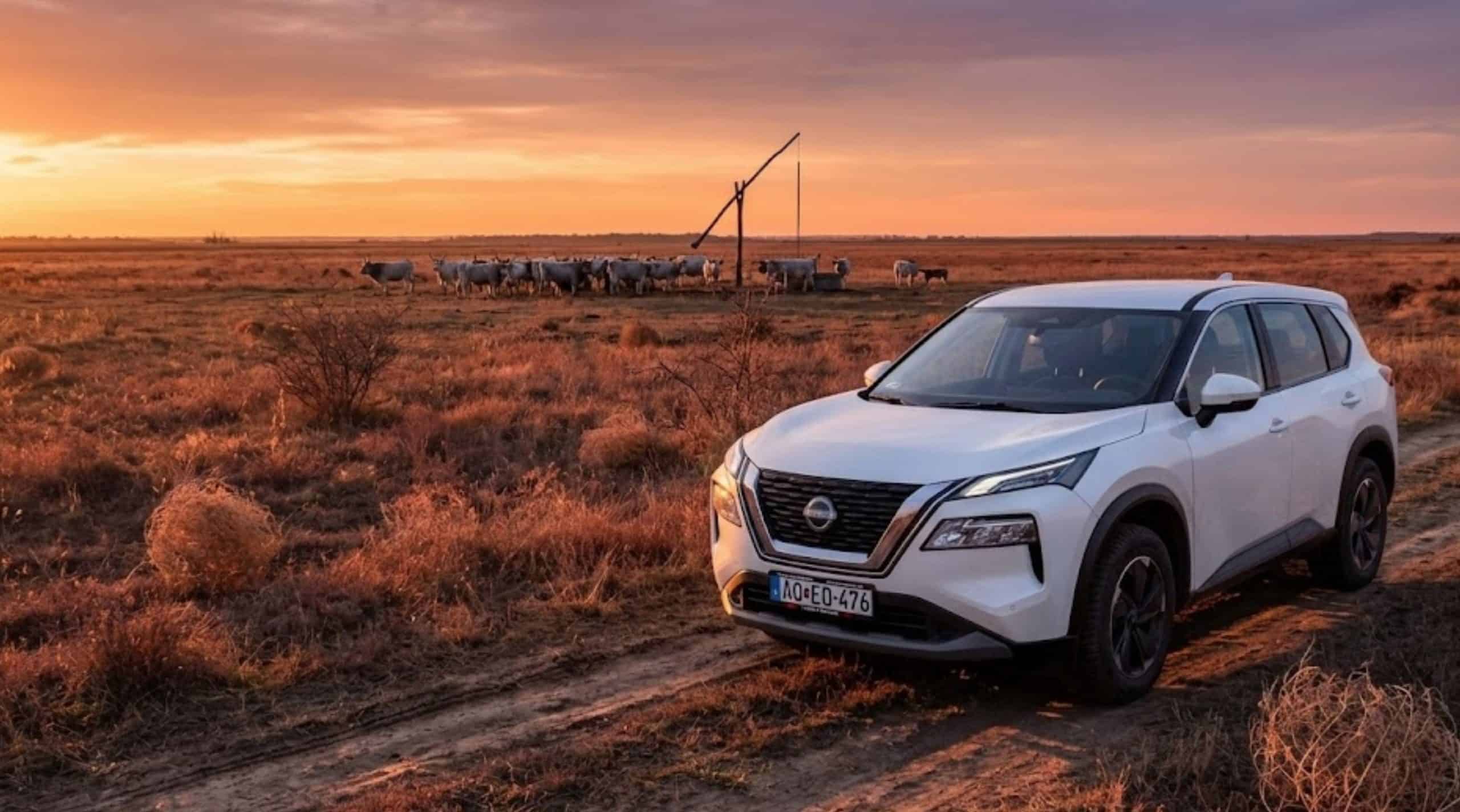 White Nissan X-Trail on a dirt road at sunset in Timisoara.