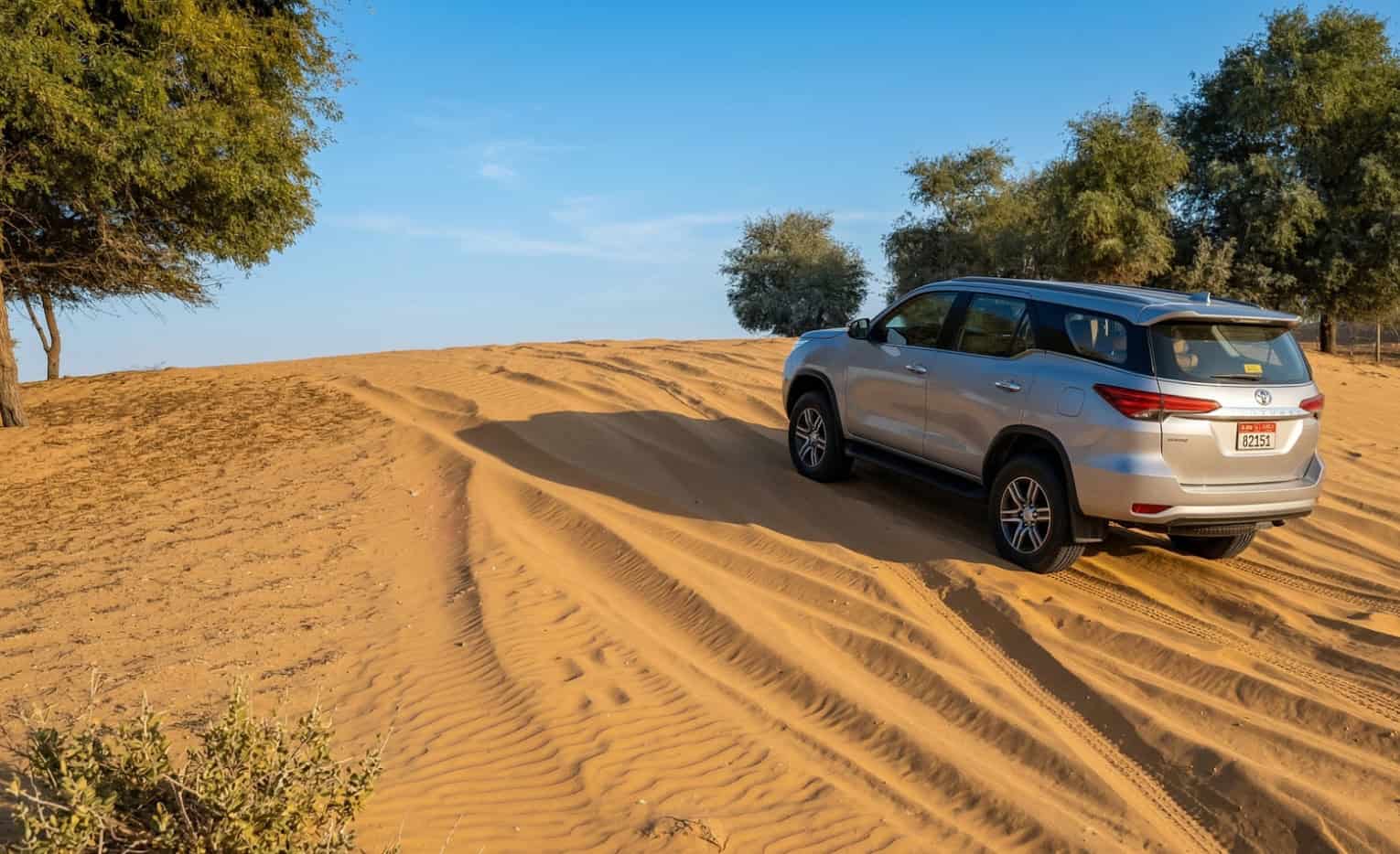 Silver SUV parked on sandy dunes with trees under a clear blue sky.